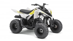 Yamaha YFM90R wit